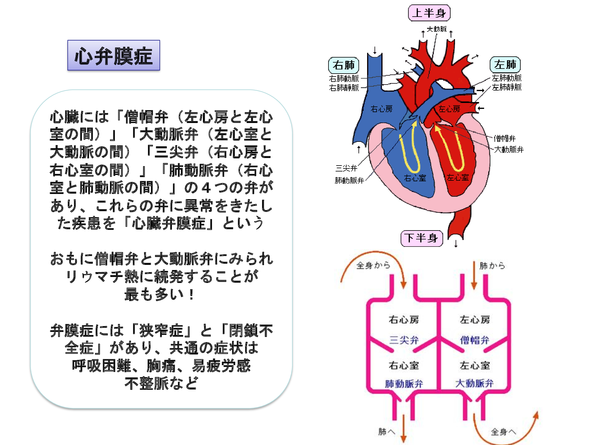 １０月の院内セミナー＆勉強会に参加いたしました。