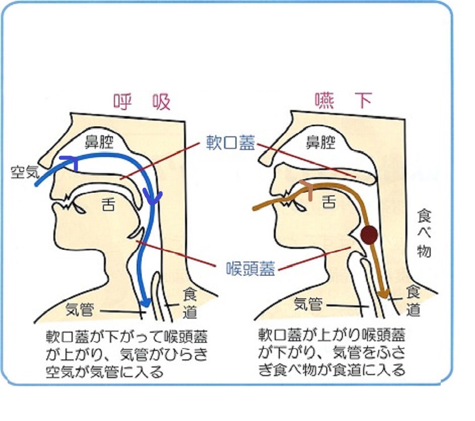 最近むせることはないですか？？