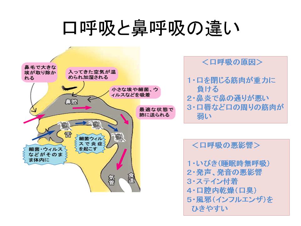 院内セミナー＆勉強会を開催いたしました