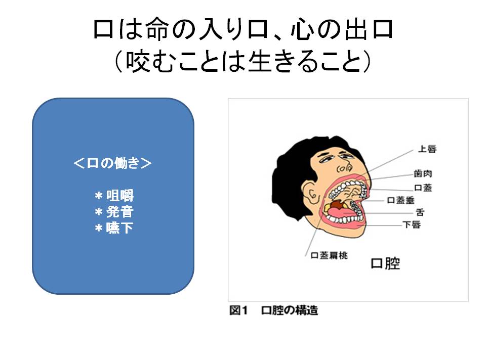 院内セミナー＆勉強会を開催いたしました