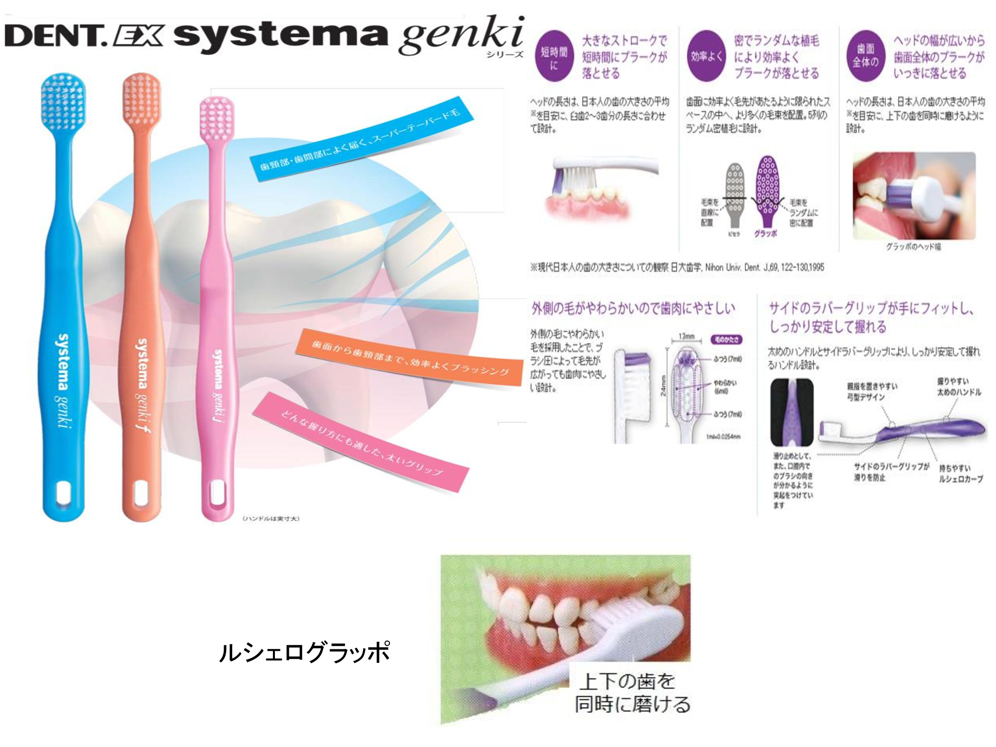 ６月に院内セミナー＆勉強会を開催いたしました